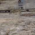 Aug 9, 2014 - Yellowstone - Beehive Geyser (2)