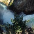Aug 9, 2014 - Yellowstone - Lower Falls (18)