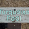 Aug 9, 2014 - Yellowstone - Turquoise Pool (1)