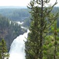 Aug 9, 2014 - Yellowstone - Upper Falls (3)