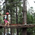 Aug 5, 2014 - Tree Top Adventures (11)