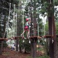 Aug 5, 2014 - Tree Top Adventures (14)