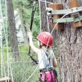 Aug 5, 2014 - Tree Top Adventures (25)