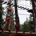 Aug 5, 2014 - Tree Top Adventures (33)
