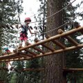 Aug 5, 2014 - Tree Top Adventures (35)