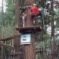 Aug 5, 2014 - Tree Top Adventures (38)