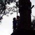 Aug 5, 2014 - Tree Top Adventures (40)