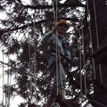 Aug 5, 2014 - Tree Top Adventures (53)