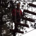 Aug 5, 2014 - Tree Top Adventures (54)