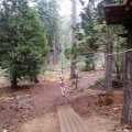 Aug 5, 2014 - Tree Top Adventures (70)