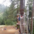 Aug 5, 2014 - Tree Top Adventures (71)