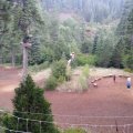 Aug 5, 2014 - Tree Top Adventures (75)