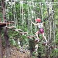 Aug 5, 2014 - Tree Top Adventures (8)