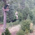 Aug 5, 2014 - Tree Top Adventures (80)
