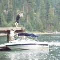 Aug 7, 2014 - Emerald Bay - Dock Jumping - RJ (10)