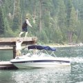 Aug 7, 2014 - Emerald Bay - Dock Jumping - RJ (9)