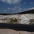 Aug 9, 2014 - Yellowstone (12)