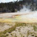 Aug 9, 2014 - Yellowstone (5)