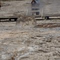 Aug 9, 2014 - Yellowstone - Beehive Geyser (2)