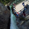 Aug 9, 2014 - Yellowstone - Lower Falls (24)