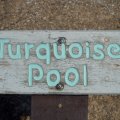Aug 9, 2014 - Yellowstone - Turquoise Pool (1)