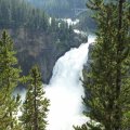 Aug 9, 2014 - Yellowstone - Upper Falls (2)