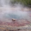 Echinus Geyser (1)