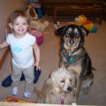 Kylee, Lexi and Ginger, Nov 19, 2008 (4)