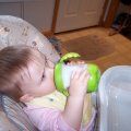Sippy Cup, April 5, 2008